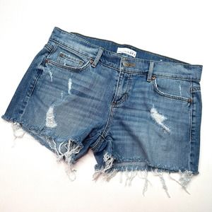 Loft Ann Taylor | Denim Distressed Shorts Size 4